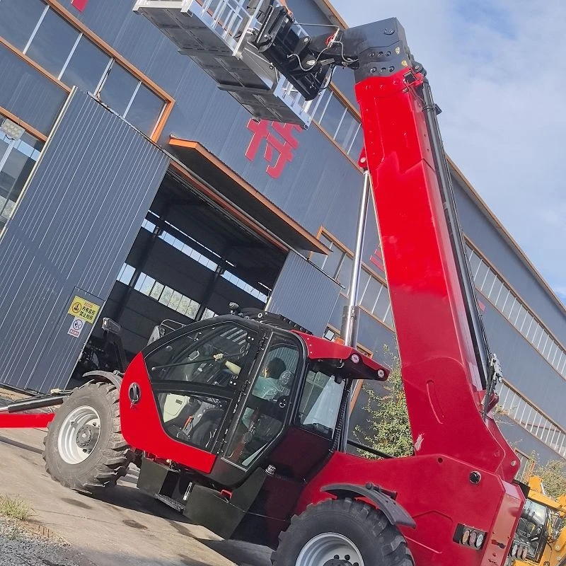 Of Multi-function Extension Arm Forklift price