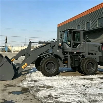 Long Arm Of Heavy Loader
